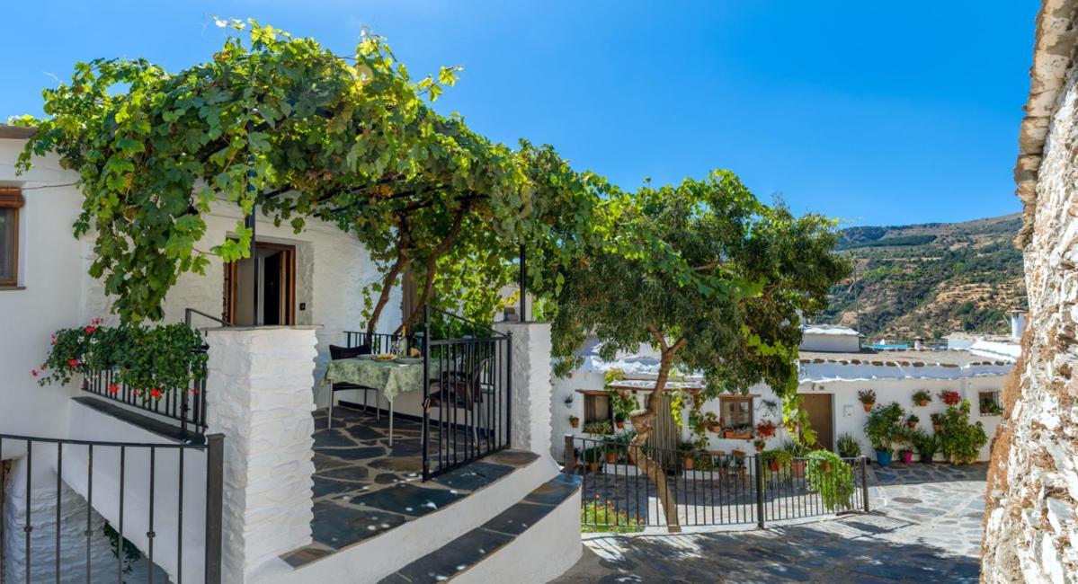 Апартаменты Casa Antonia Capileira La Alpujarra Экстерьер фото