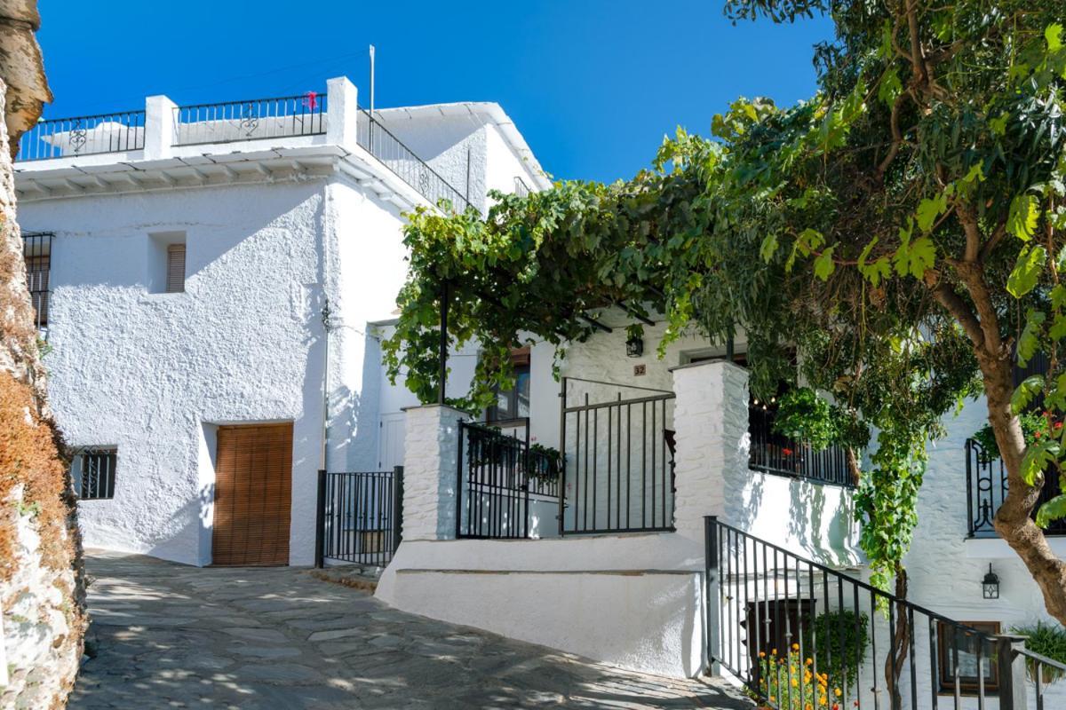 Апартаменты Casa Antonia Capileira La Alpujarra Экстерьер фото